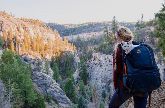 15. Enjoying the view from a backpack