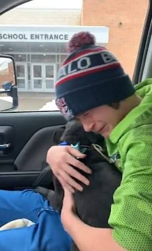 boy reuniting with his lost dog