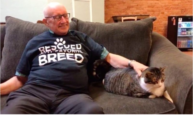 75-year-old the kindest grandpa volunteers: he cuddles shelter cats every day for 6 months in a row