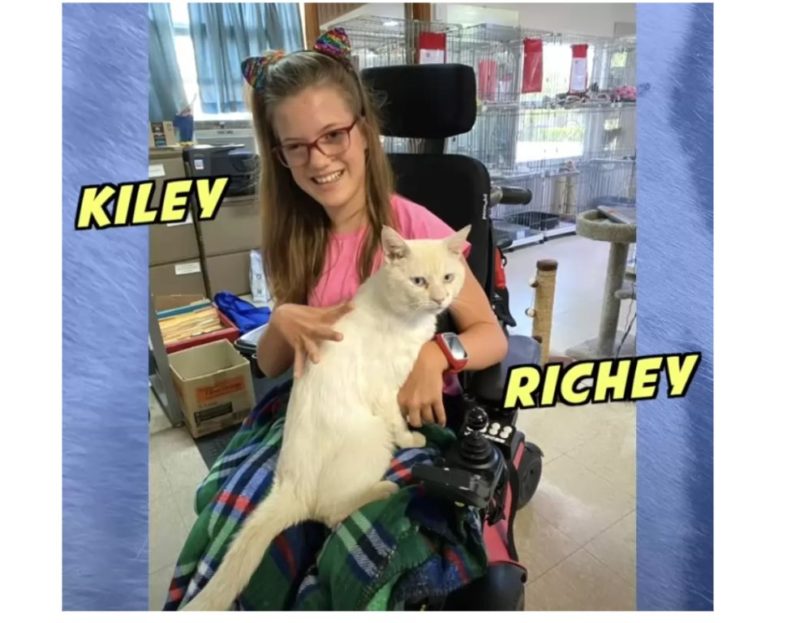 White kitty climbed into the girl's lap, making an inseparable friendship with her: he was the first cat who wasn't afraid of her wheelchair